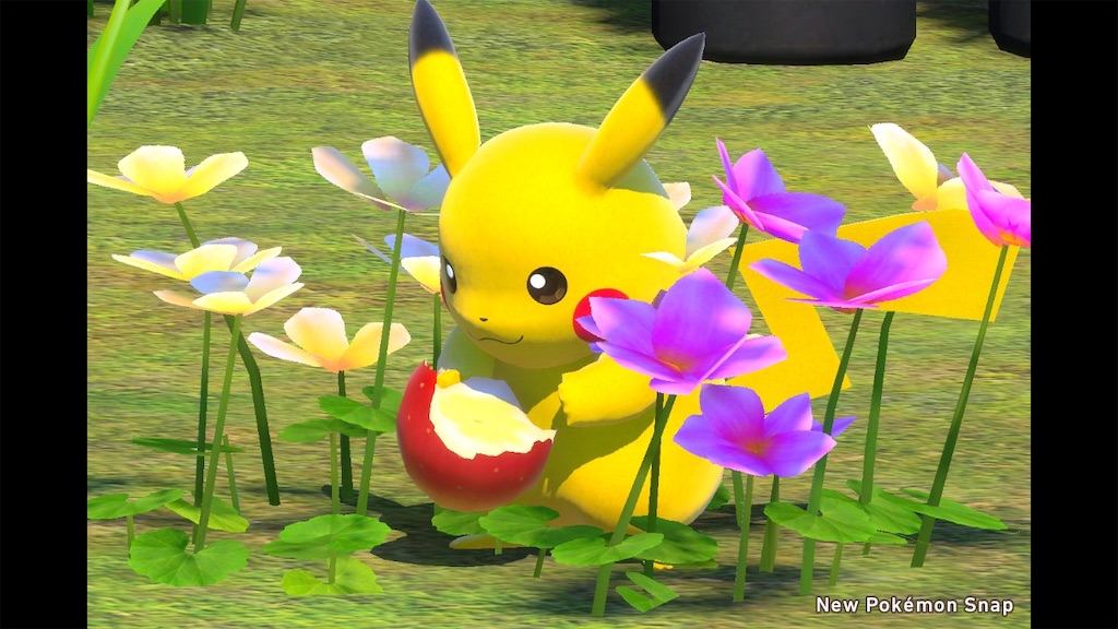 f:id:tentsan:20210524102145j:image