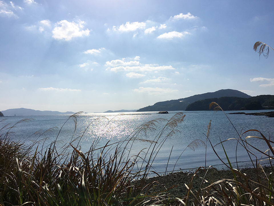 f:id:tentsu_media:20180524185736j:plain f:id:tentsu_media:20180524185736j:plain