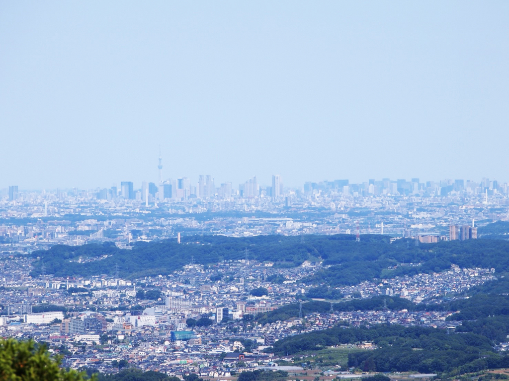 f:id:tentsu_media:20180604130627j:plain f:id:tentsu_media:20180604130627j:plain