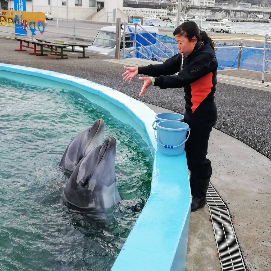f:id:tentsu_media:20190205125530j:plain f:id:tentsu_media:20190205125530j:plain