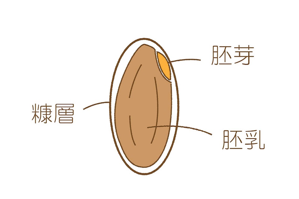 f:id:tentsu_media:20190218095309j:plain f:id:tentsu_media:20190218095309j:plain