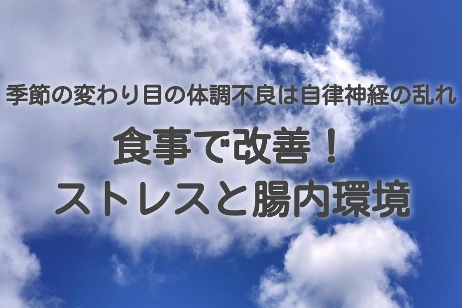 f:id:tentsu_media:20190322131615j:plain f:id:tentsu_media:20190322131615j:plain