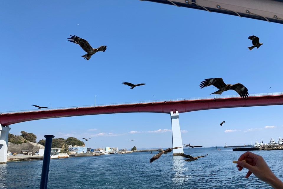 f:id:tentsu_media:20190417172753j:plain f:id:tentsu_media:20190417172753j:plain