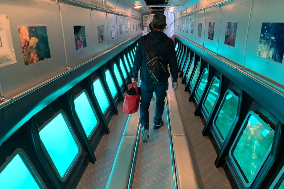 f:id:tentsu_media:20190418114527j:plain f:id:tentsu_media:20190418114527j:plain