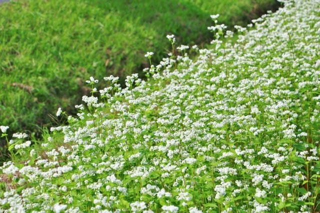 f:id:tentsu_media:20190419125451j:plain f:id:tentsu_media:20190419125451j:plain