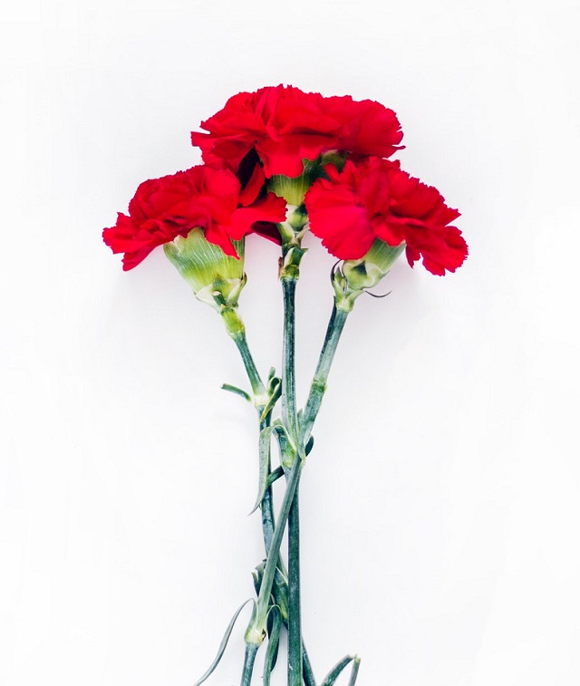 f:id:tentsu_media:20190522131413j:plain f:id:tentsu_media:20190522131413j:plain