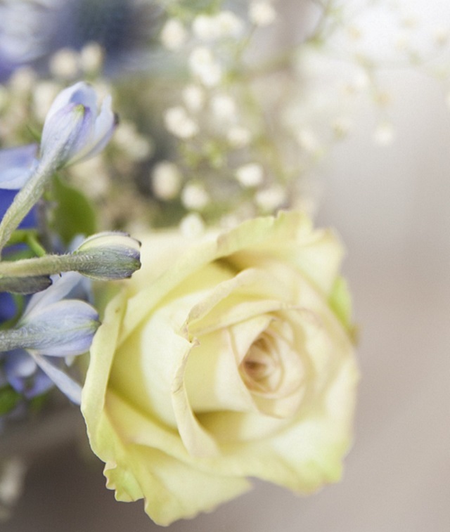 f:id:tentsu_media:20190522132836j:plain f:id:tentsu_media:20190522132836j:plain