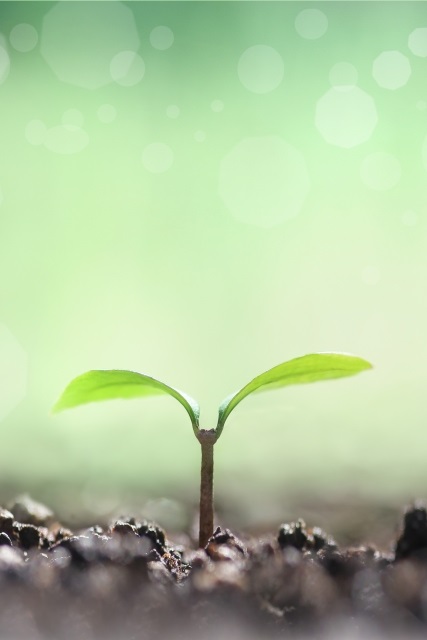 f:id:tentsu_media:20190614111739j:plain f:id:tentsu_media:20190614111739j:plain
