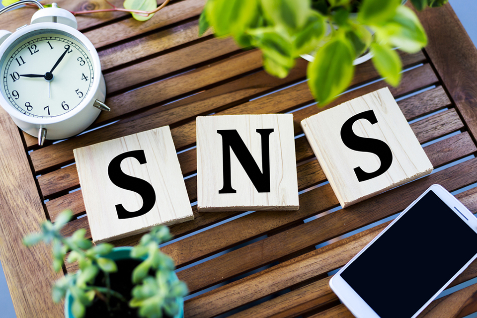f:id:tentsu_media:20190619140004j:plain sns