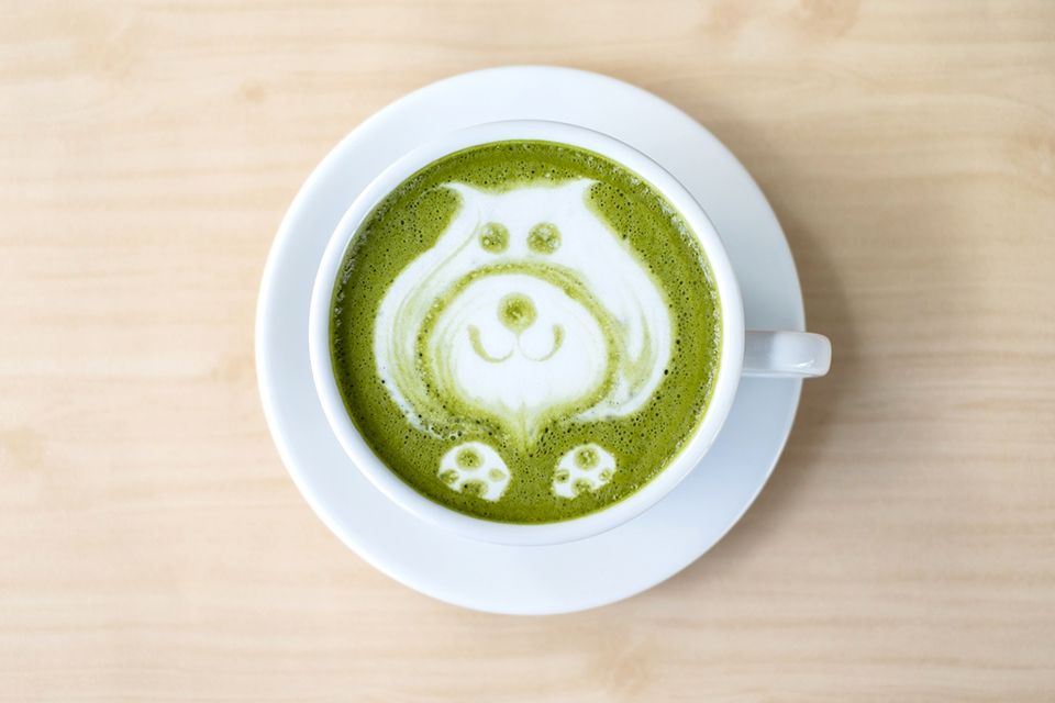 f:id:tentsu_media:20190619142421j:plain f:id:tentsu_media:20190619142421j:plain