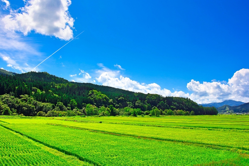 f:id:tentsu_media:20190619171213j:plain f:id:tentsu_media:20190619171213j:plain