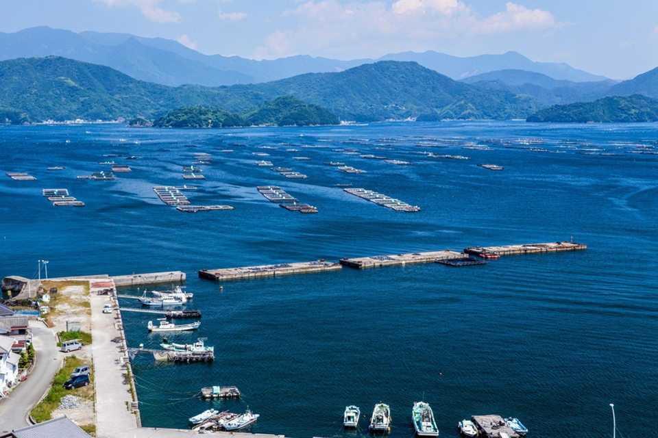 f:id:tentsu_media:20190619171256j:plain f:id:tentsu_media:20190619171256j:plain