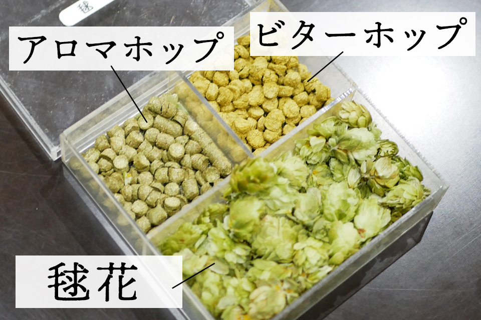 f:id:tentsu_media:20190821175656j:plain f:id:tentsu_media:20190821175656j:plain