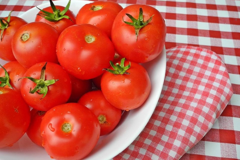 f:id:tentsu_media:20191031173929j:plain f:id:tentsu_media:20191031173929j:plain