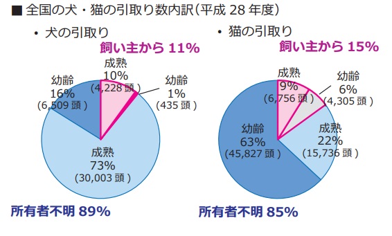 f:id:tentsu_media:20200106144744j:plain f:id:tentsu_media:20200106144744j:plain