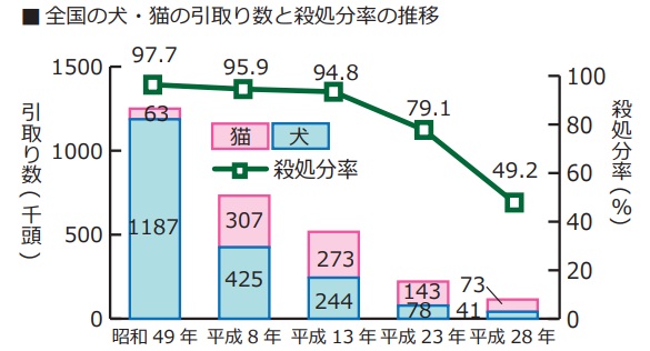f:id:tentsu_media:20200106144839j:plain f:id:tentsu_media:20200106144839j:plain