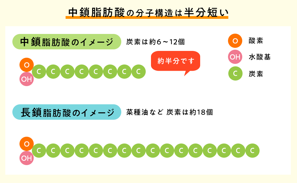 f:id:tentsu_media:20200214170643p:plain f:id:tentsu_media:20200214170643p:plain