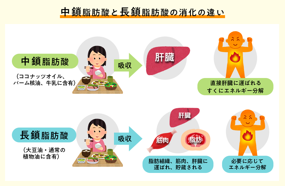 f:id:tentsu_media:20200214170658p:plain f:id:tentsu_media:20200214170658p:plain