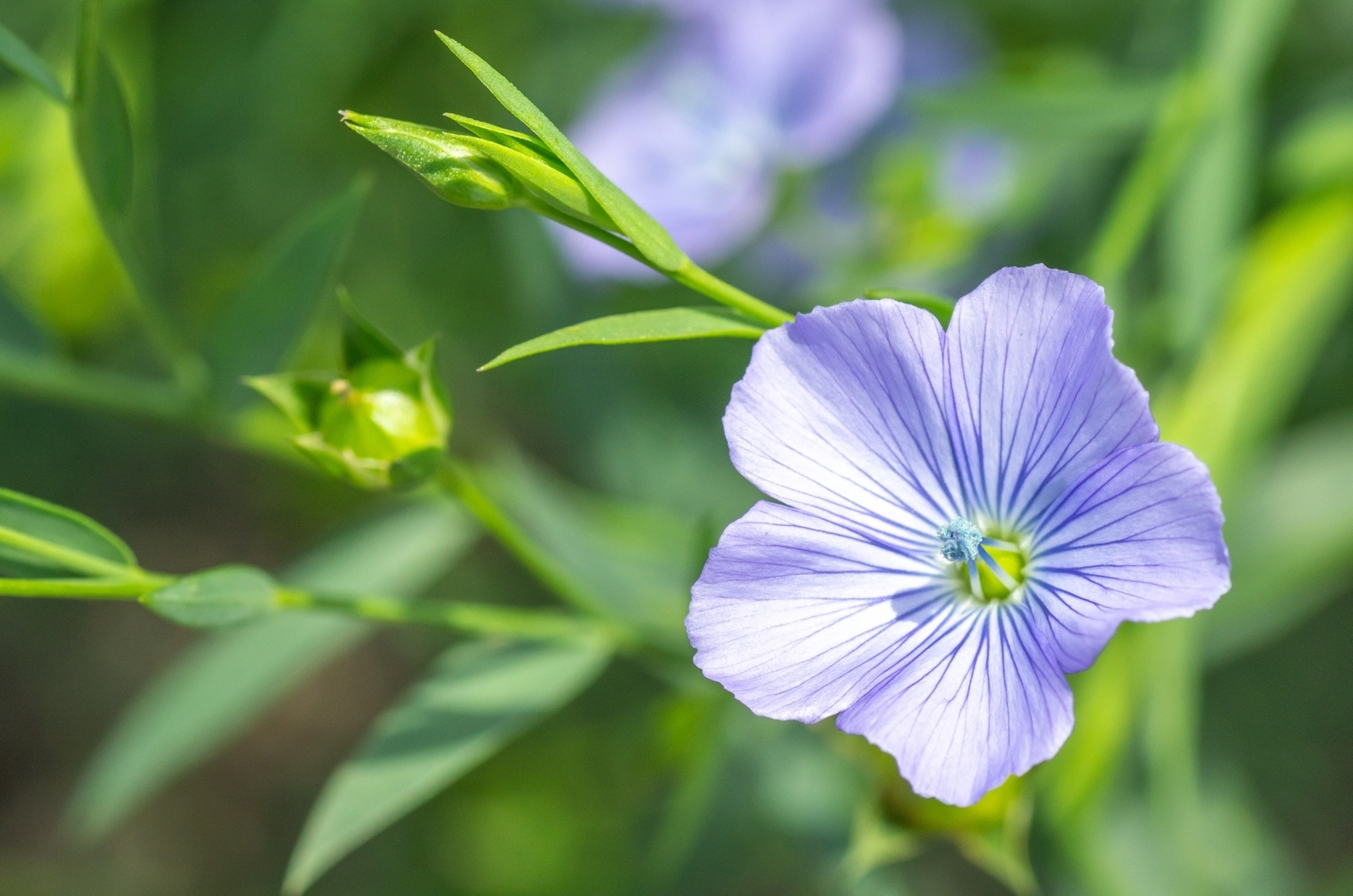 f:id:tentsu_media:20200527112706j:plain f:id:tentsu_media:20200527112706j:plain