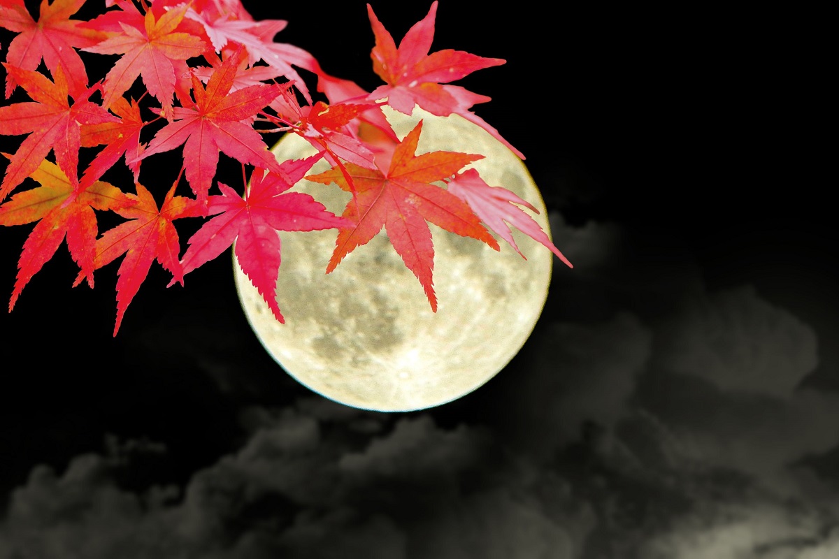 f:id:tentsu_media:20200811165332j:plain f:id:tentsu_media:20200811165332j:plain