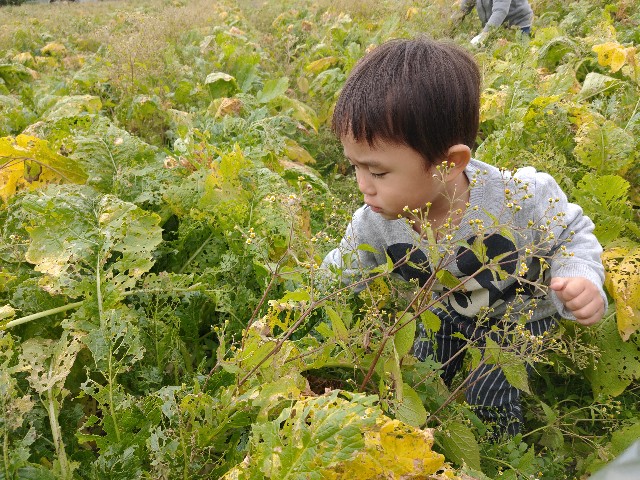 f:id:tentumamamoko:20201130020339j:image