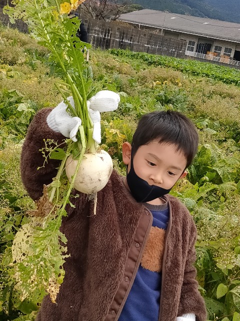f:id:tentumamamoko:20201130020420j:image
