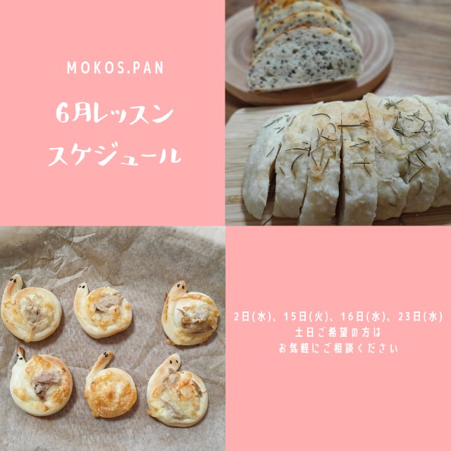 f:id:tentumamamoko:20210525164406j:image f:id:tentumamamoko:20210525164406j:image