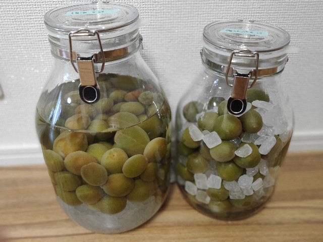 f:id:tentumamamoko:20210530004606j:image f:id:tentumamamoko:20210530004606j:image