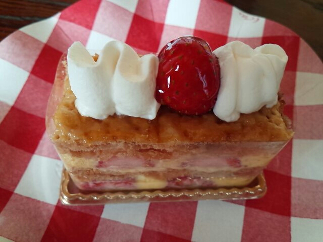 f:id:tenuguisan:20161228171534j:plain f:id:tenuguisan:20161228171534j:plain