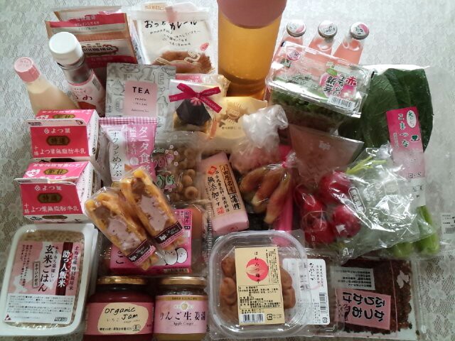f:id:tenuguisan:20170607092340j:plain