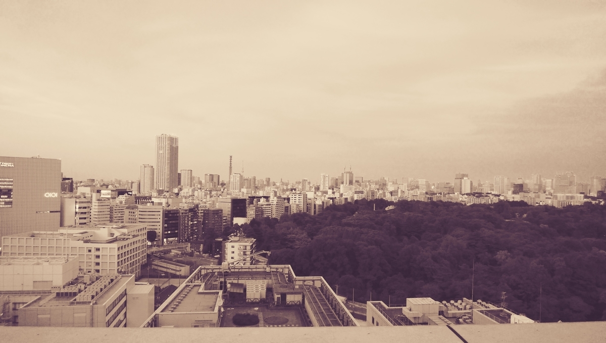 f:id:tenuguisan:20190603201601j:plain