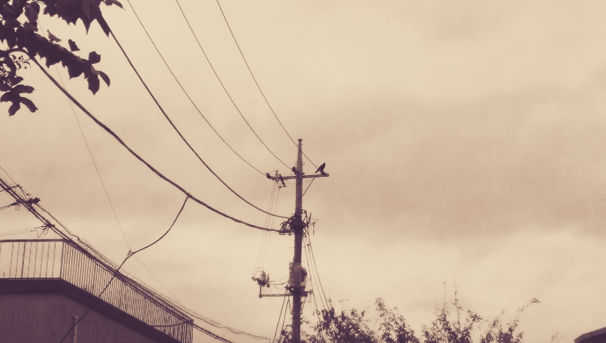 f:id:tenuguisan:20201014183033j:plain
