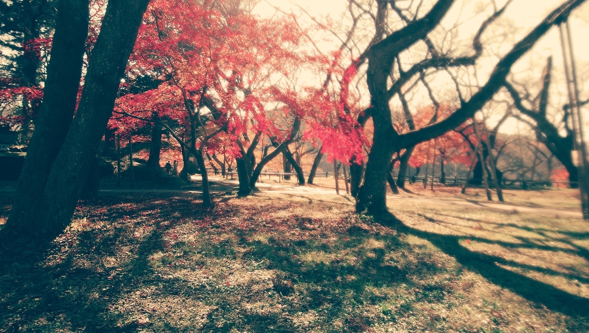 f:id:tenuguisan:20201113214521j:plain