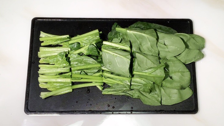 f:id:tenukitchen:20190404100112j:plain