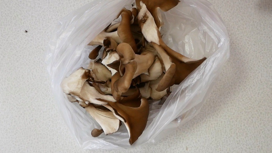 f:id:tenukitchen:20200917103558j:plain f:id:tenukitchen:20200917103558j:plain