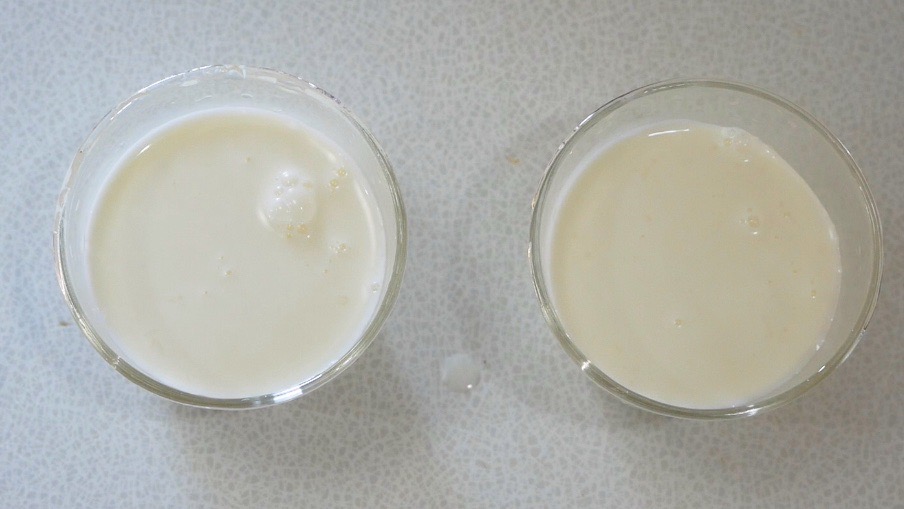 f:id:tenukitchen:20201026120504j:plain f:id:tenukitchen:20201026120504j:plain