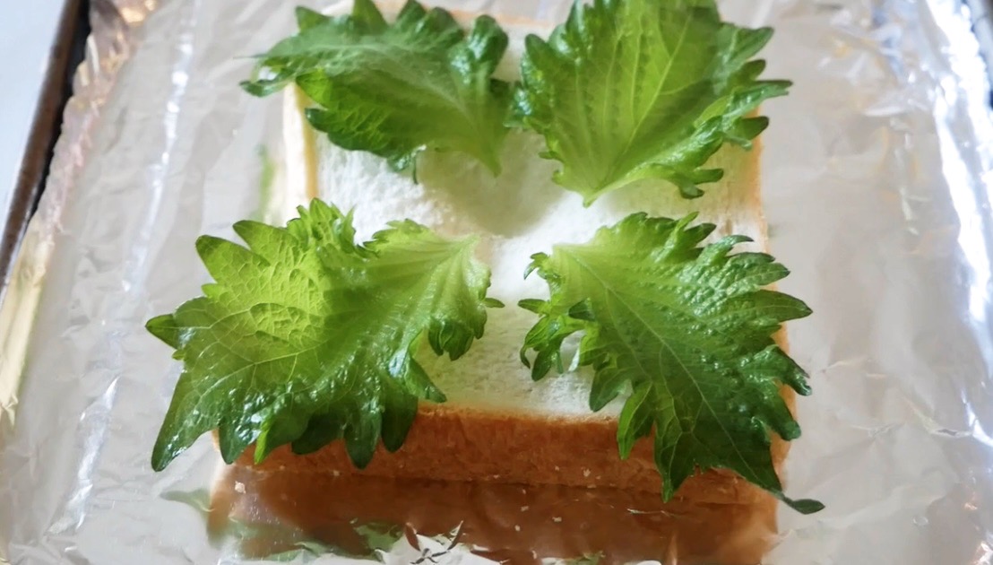 f:id:tenukitchen:20201210113656j:plain