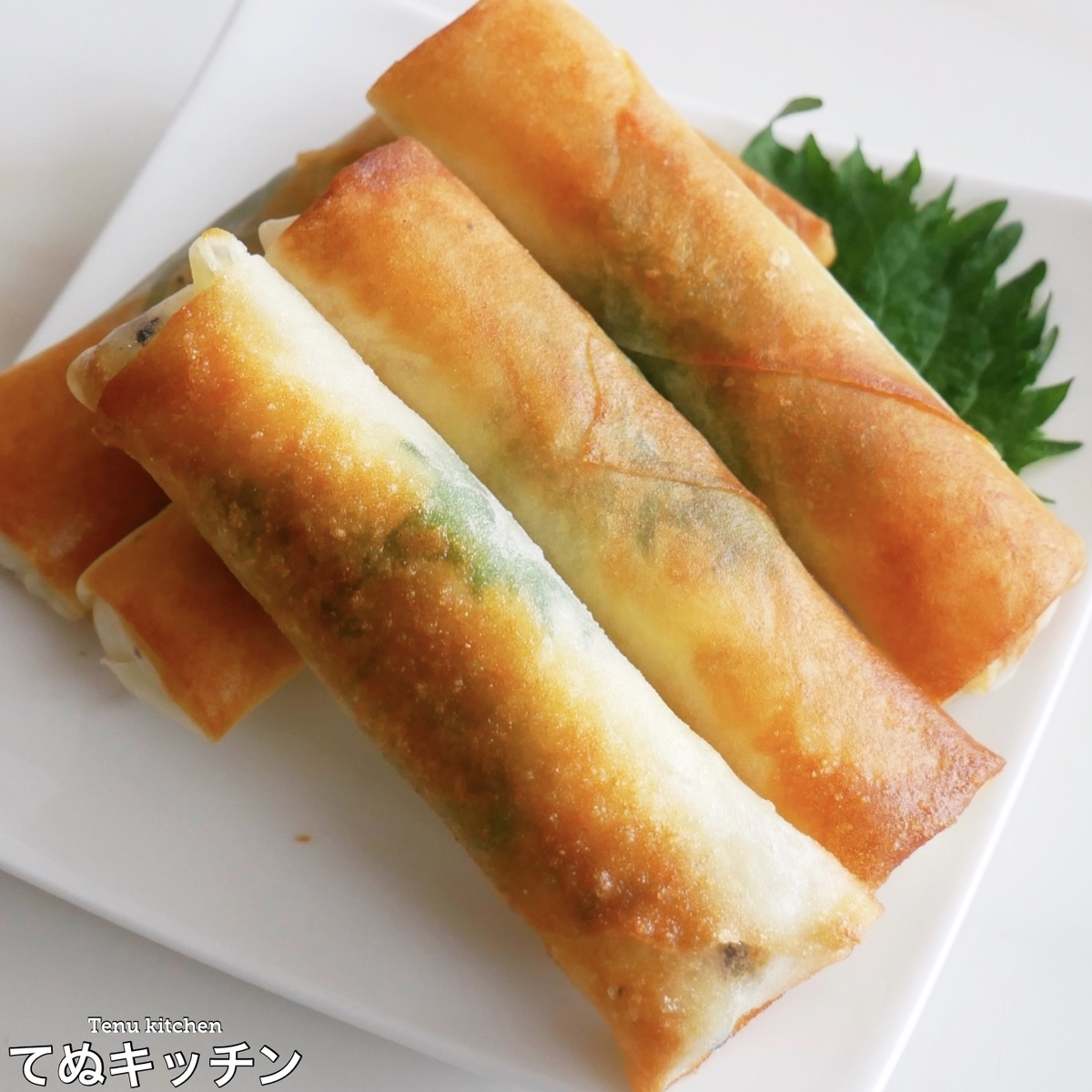 f:id:tenukitchen:20210719111340j:plain