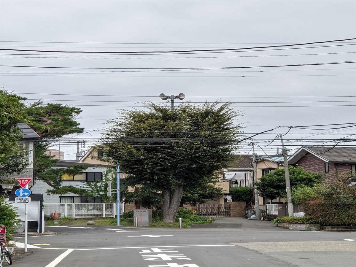 f:id:tenyard:20201017223643j:plain