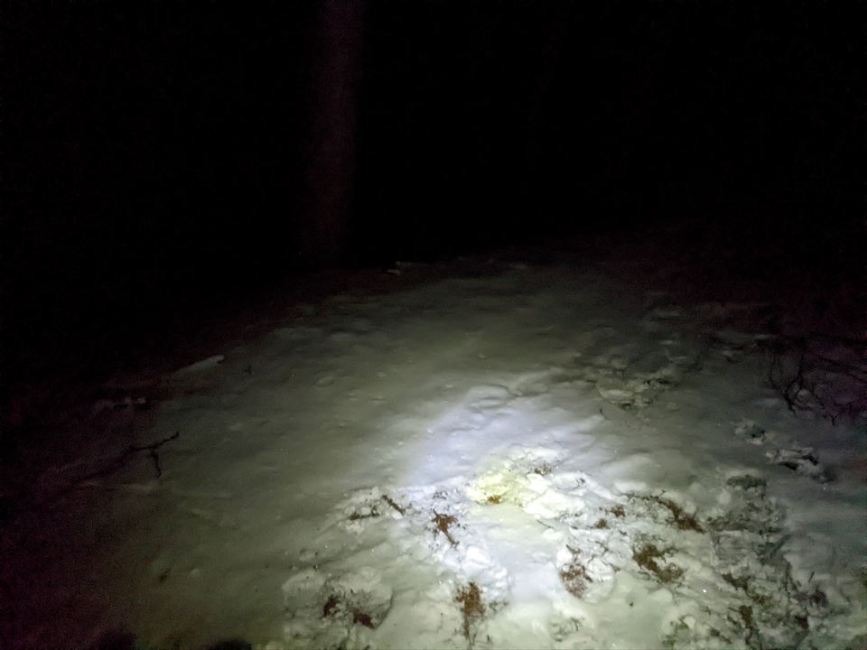 f:id:tenyard:20220112203425j:plain