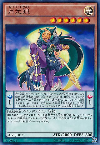 月光(ムーンライト)カードの解説 - 月光と共にいきる