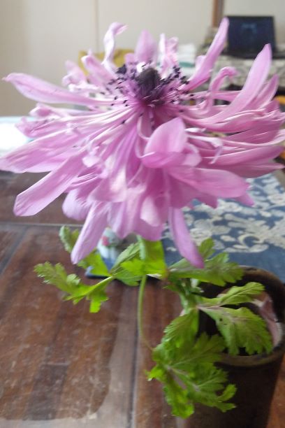 f:id:teoktyma:20200130104336j:plain f:id:teoktyma:20200130104336j:plain