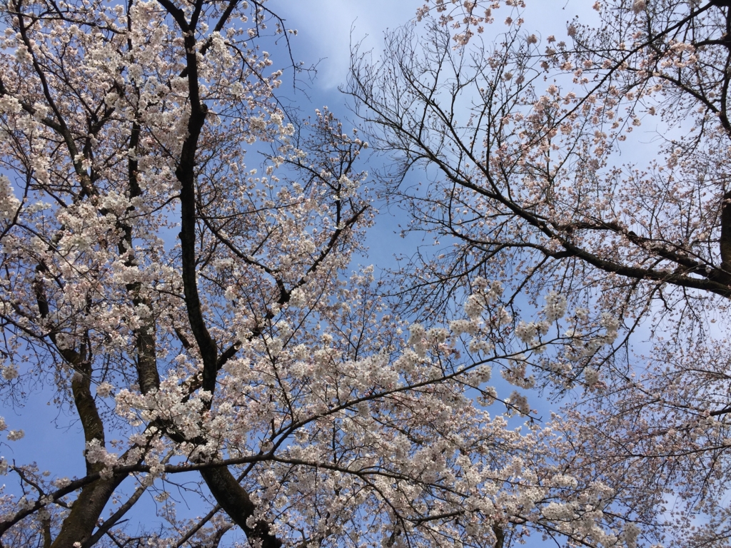 f:id:teoriahc:20170407193234j:plain