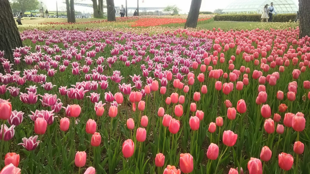 f:id:teoriahc:20170418180849j:plain