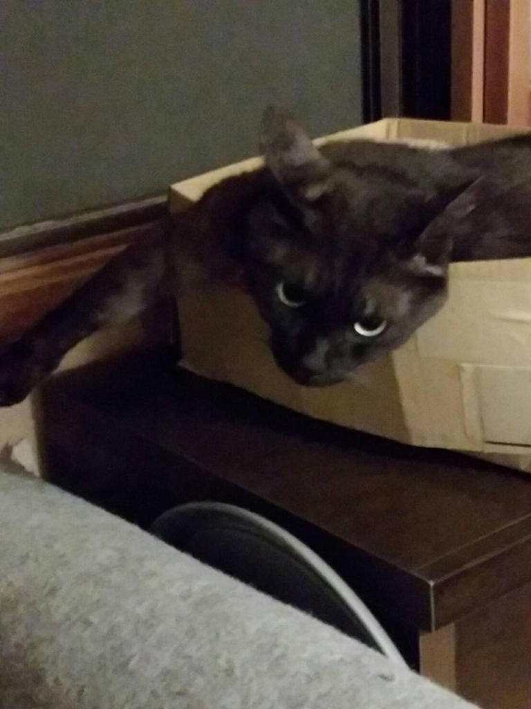 f:id:teoriahc:20170529211411j:plain