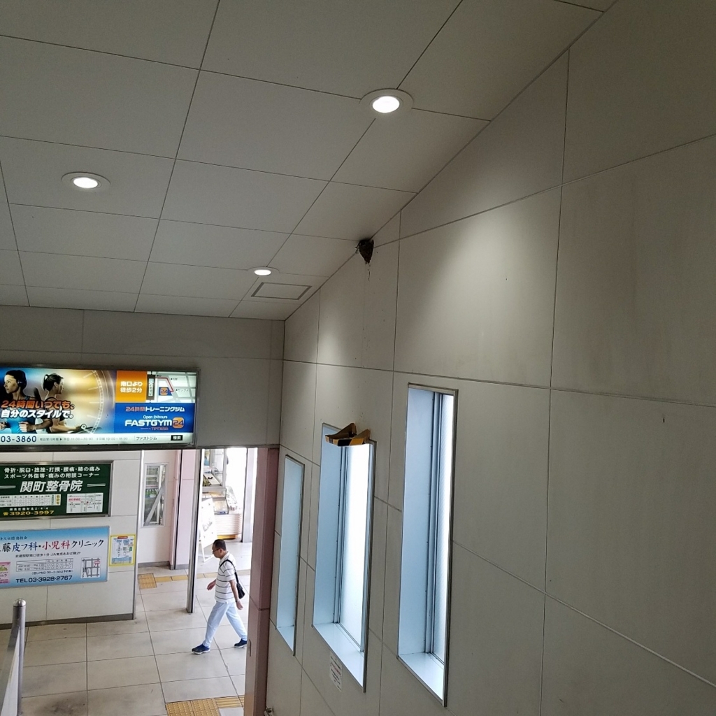 f:id:teoriahc:20170712090213j:plain f:id:teoriahc:20170712090213j:plain