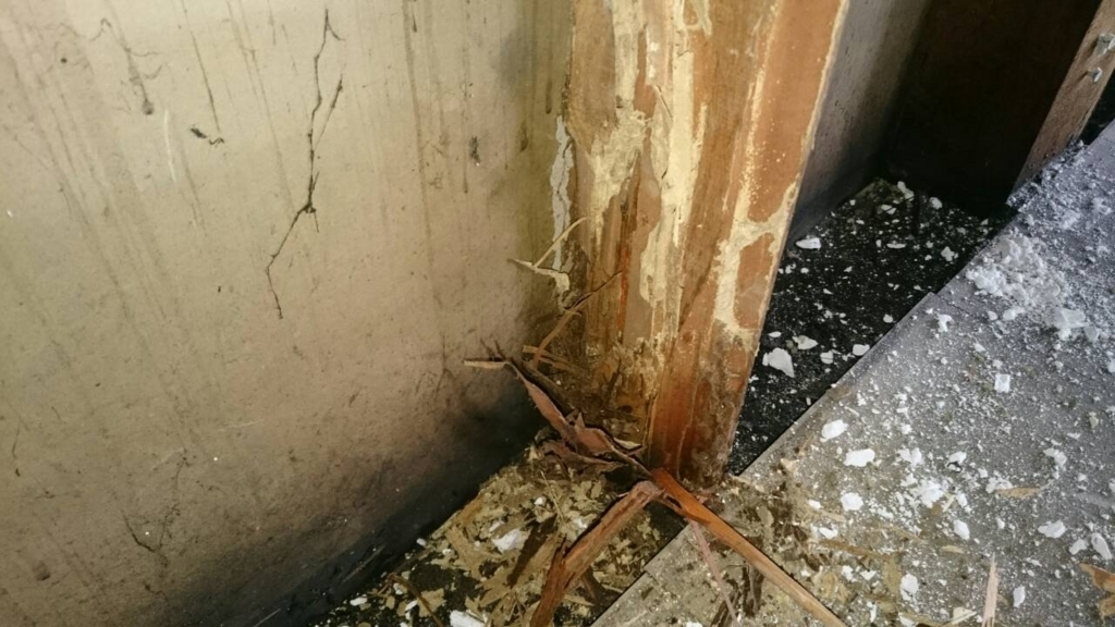 f:id:teoriahc:20170928185348j:plain