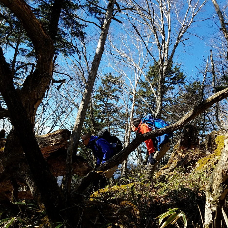 f:id:teoriahc:20171122173442j:plain