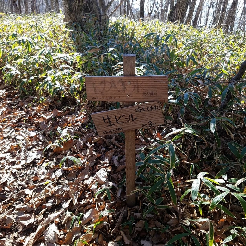 f:id:teoriahc:20171129161214j:plain