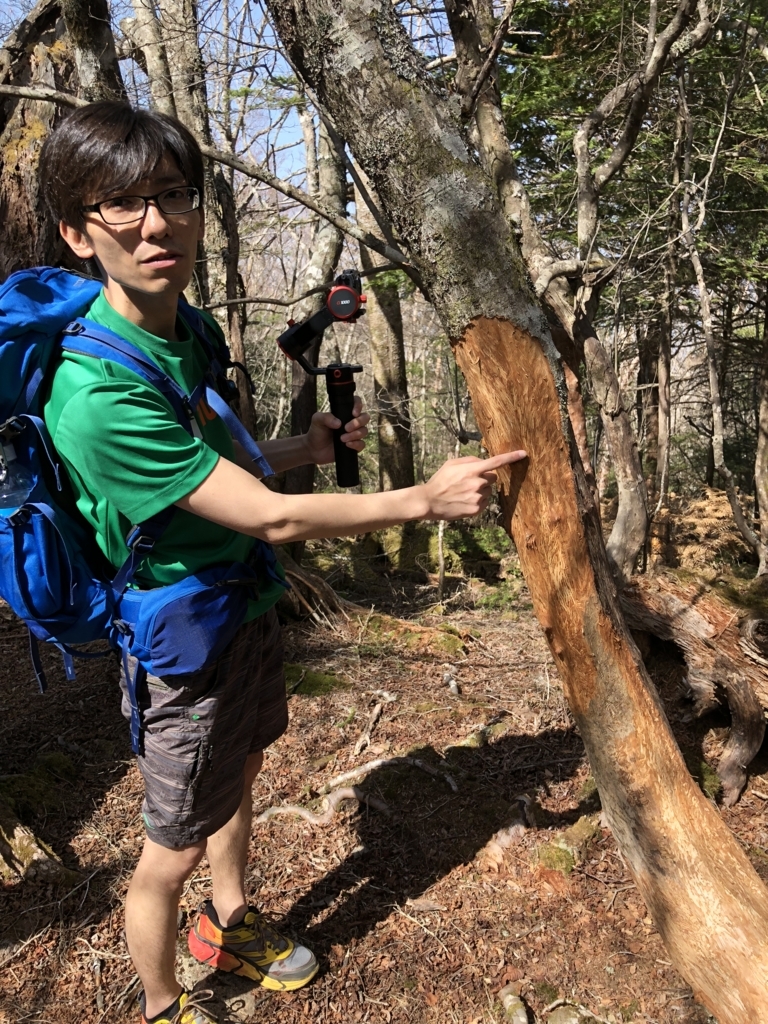 f:id:teoriahc:20180507173714j:plain